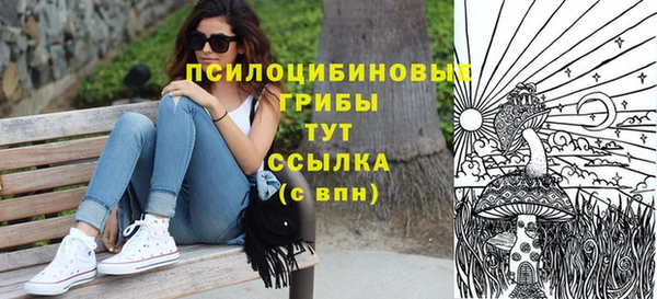 бошки Няндома