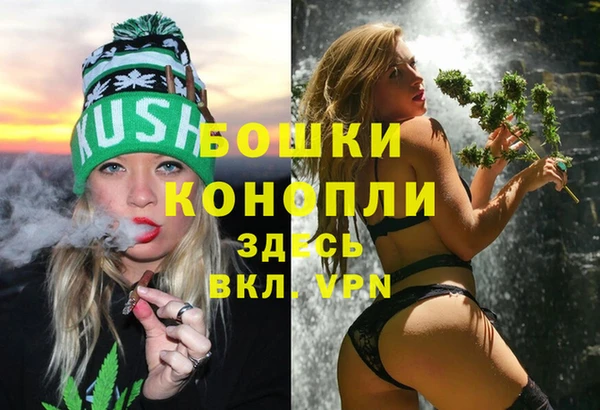 бошки Няндома