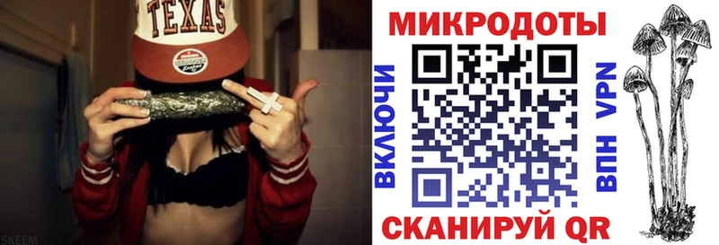 Псилоцибиновые грибы Psilocybe  OMG онион  Новодвинск 