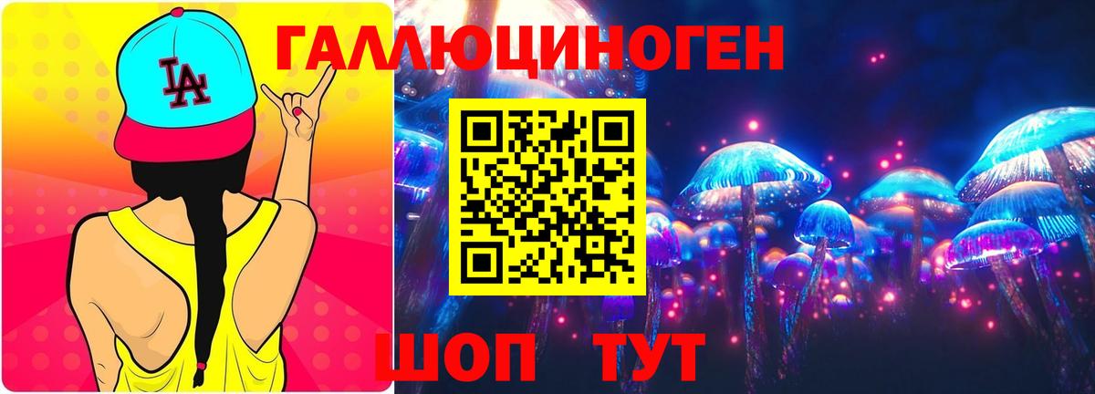 Новодвинск  Псилоцибиновые грибы Psilocybe  цена наркотик  Вход с VPN  Псилоцибиновые грибы прущие грибы 